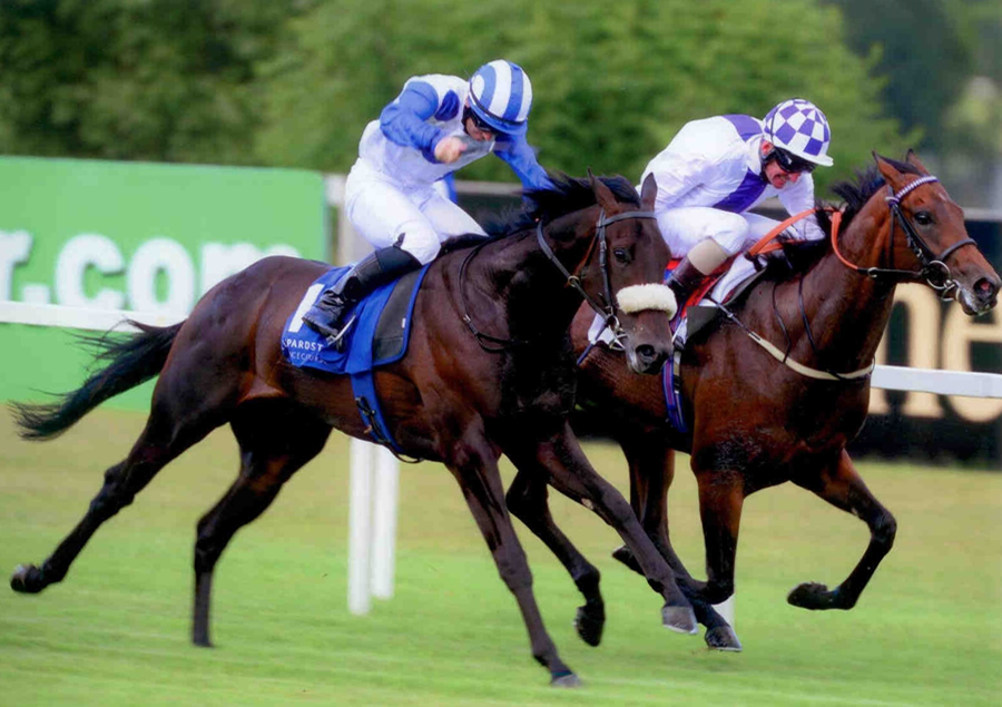 Exogenesis Leopardstown 25th July 2013